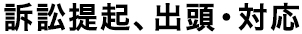 訴訟提起、出頭・対応